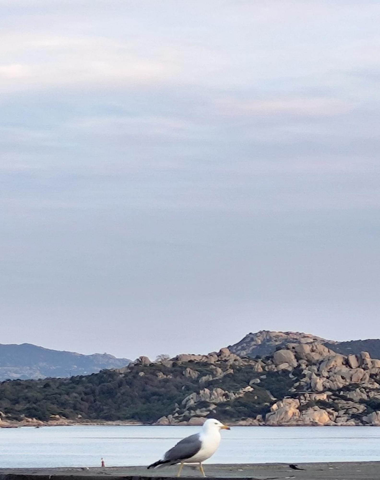 Soul Apartment La Maddalena ภายนอก รูปภาพ
